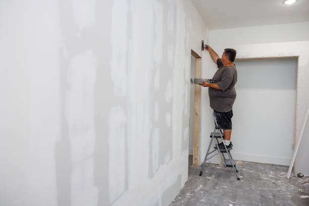 Best Commercial Mold Inspection  in Brandon, FL